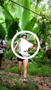 BIB:  <button type="button" onclick="openModal(26823033)" class="btn btn-primary btn-sm float-right" data-toggle="modal" data-target=".modal-high-quality">
                <i class="fa fa-download"></i> Download
                </button>